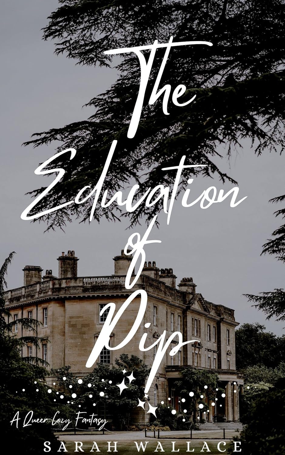 The Education of Pip